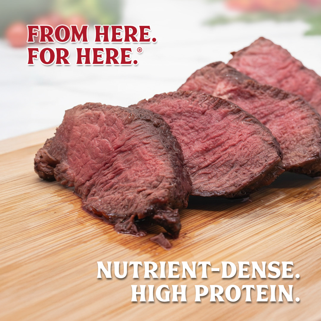 AI Prompting, Photography, & Graphic Design