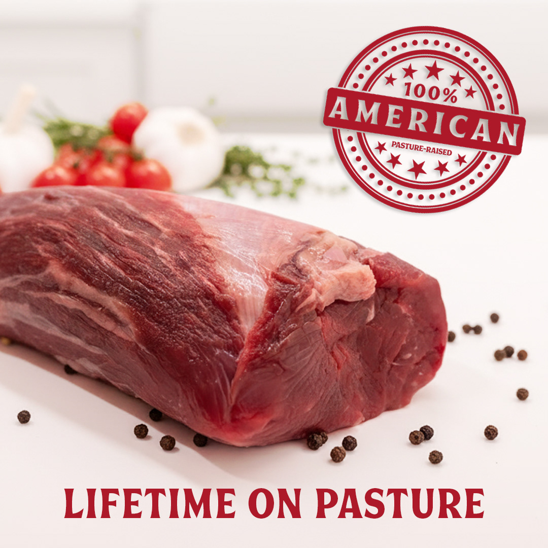 AI Prompting, Photography, & Graphic Design