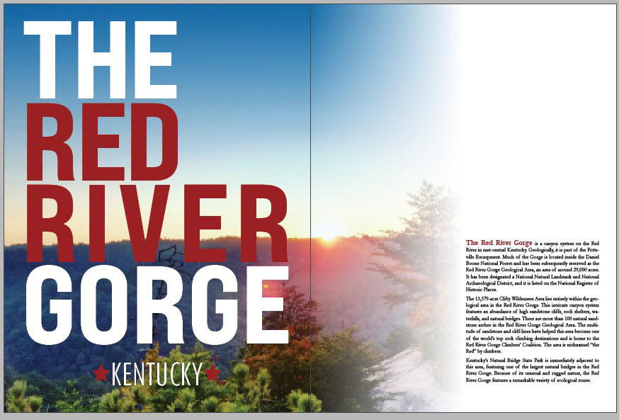 Magazine Layout Design