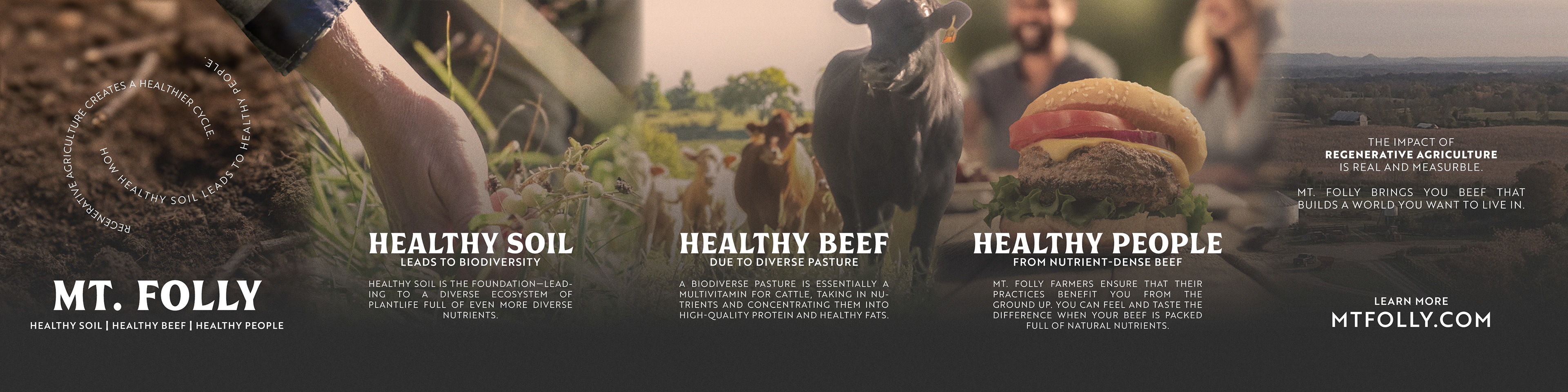 Carousel Storytelling