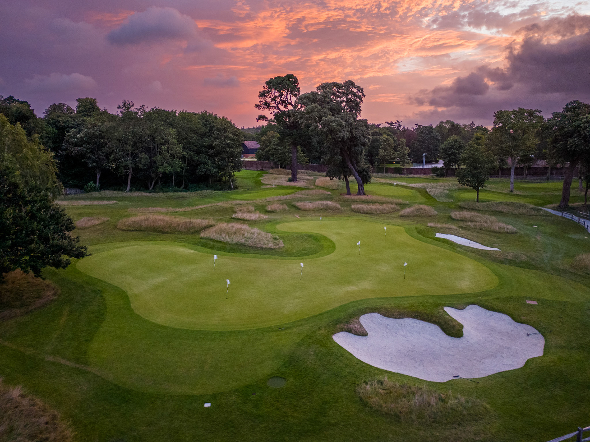 The Copse, Goodwood
