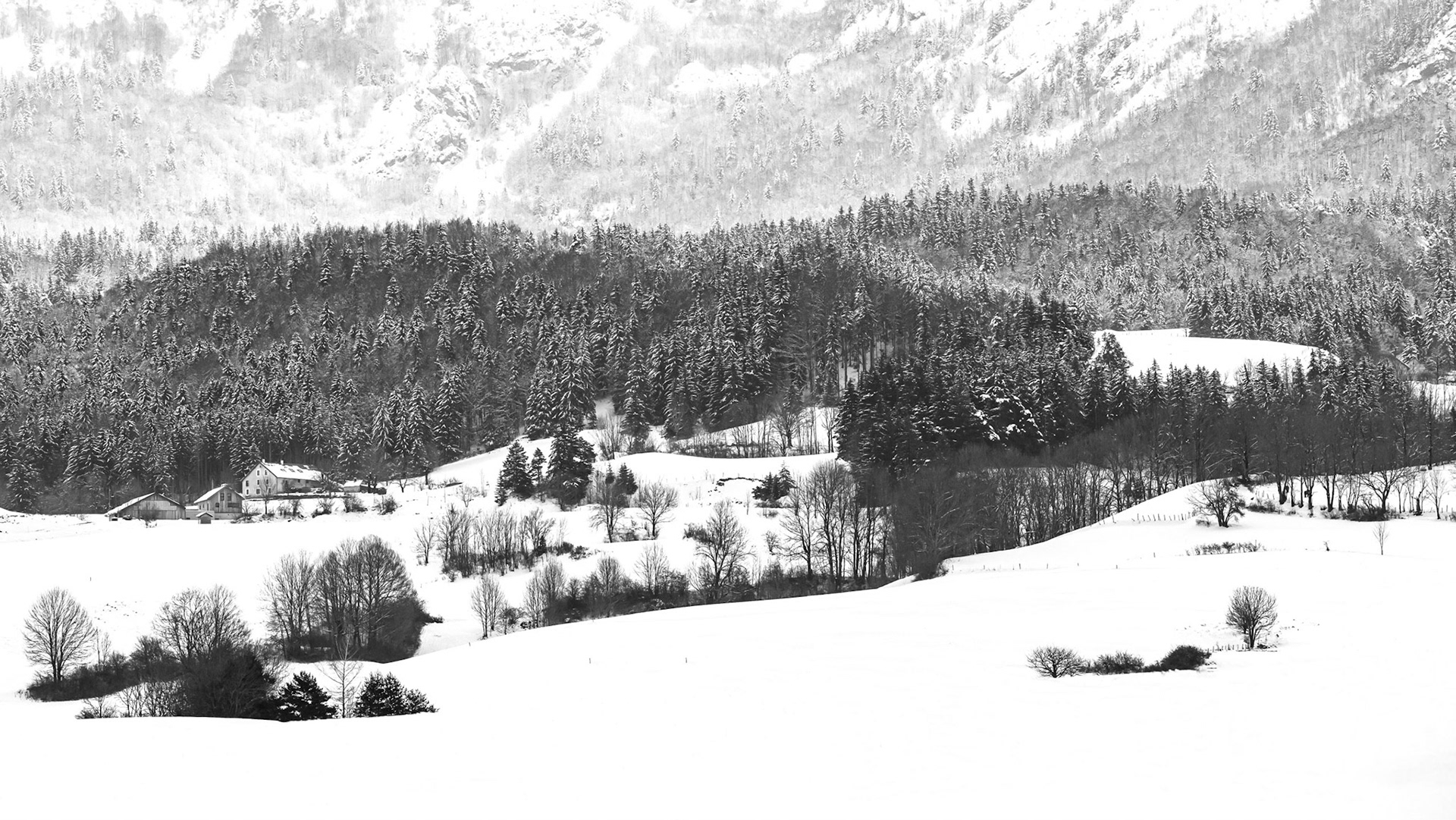 Hiver sur le plateau