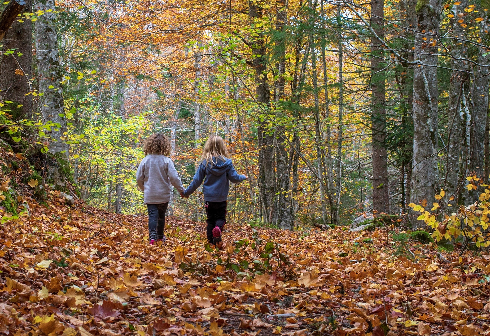 Promenons-nous.....