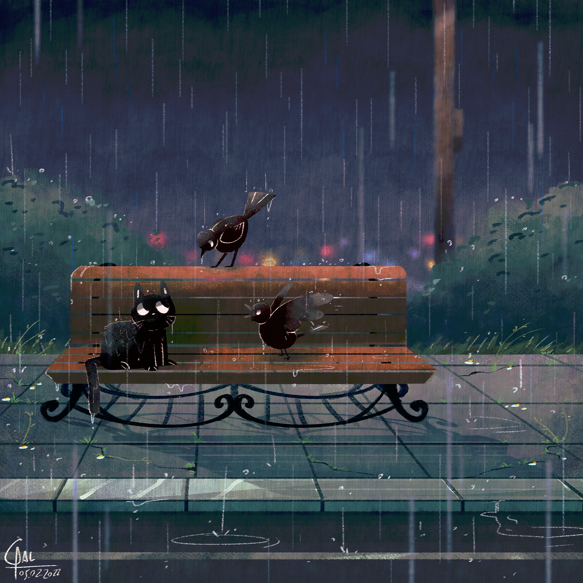 Rainy Night