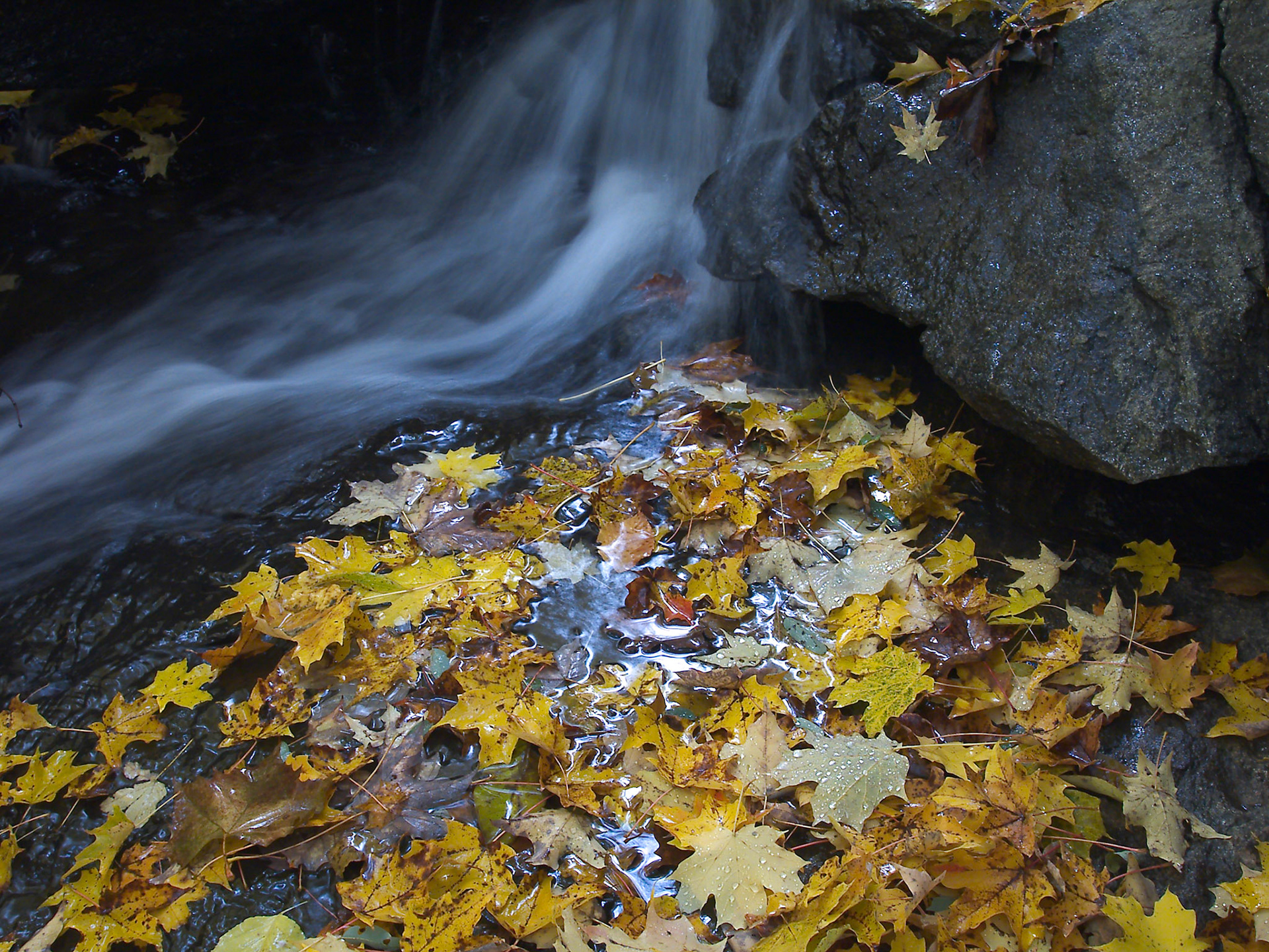 fall water