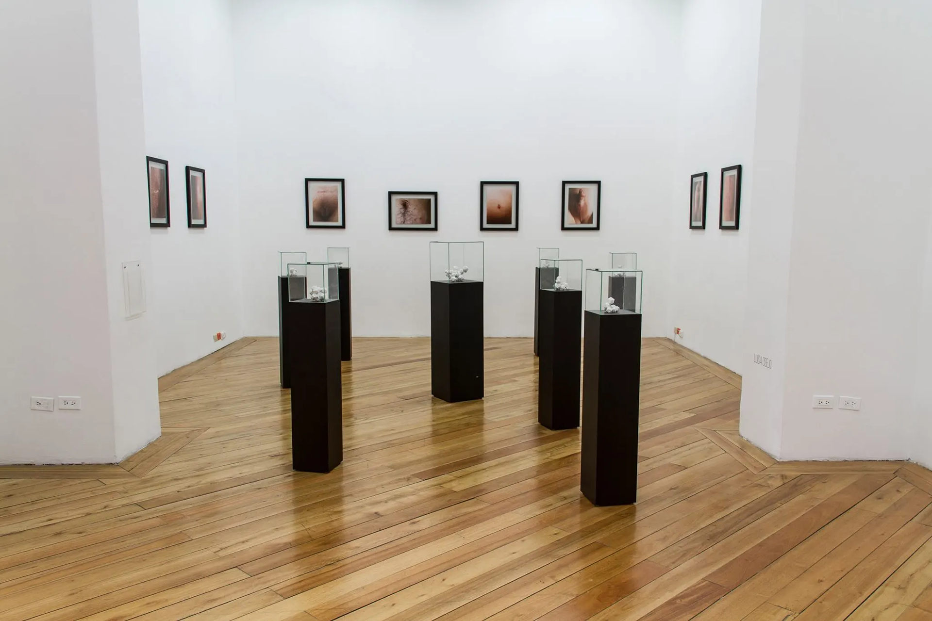 On display: Rebuilding memories: sex diversities, Luisa Osejo, 2016. -fagia. Photographs of Nicolás Saavedra.