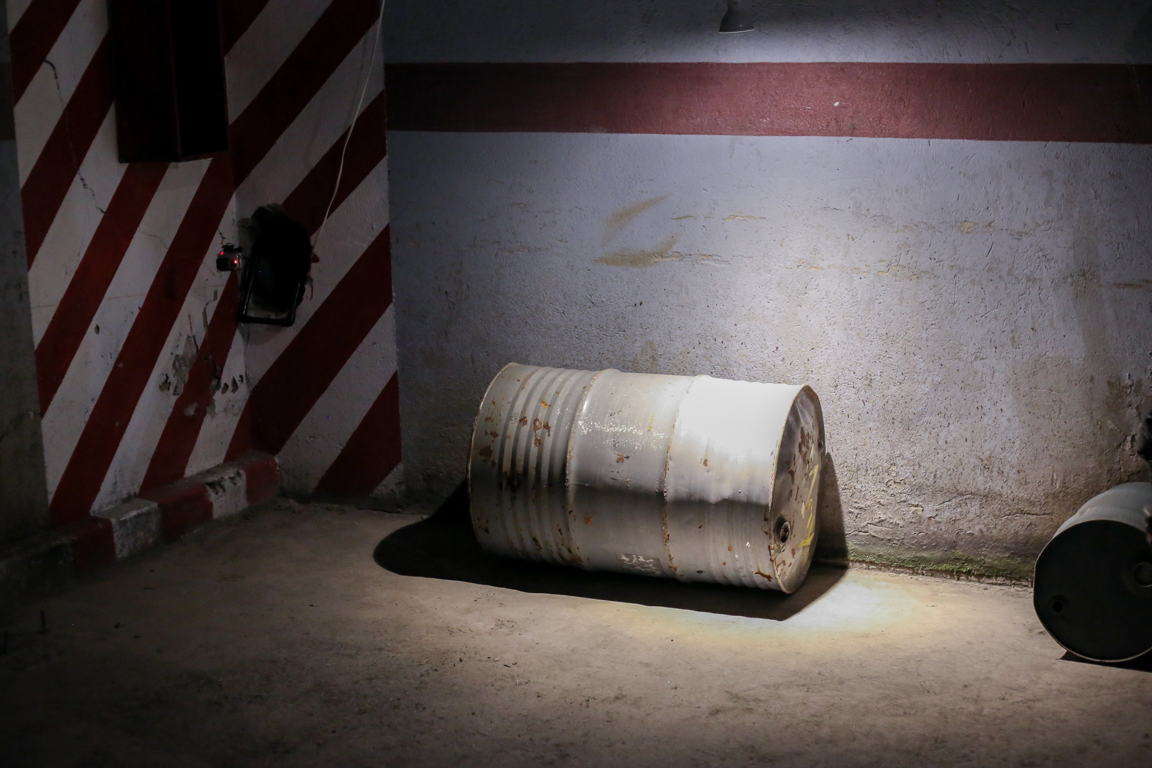 On display: Ósmosis 2019. Photographs of Ana Viteri (Eukarya).