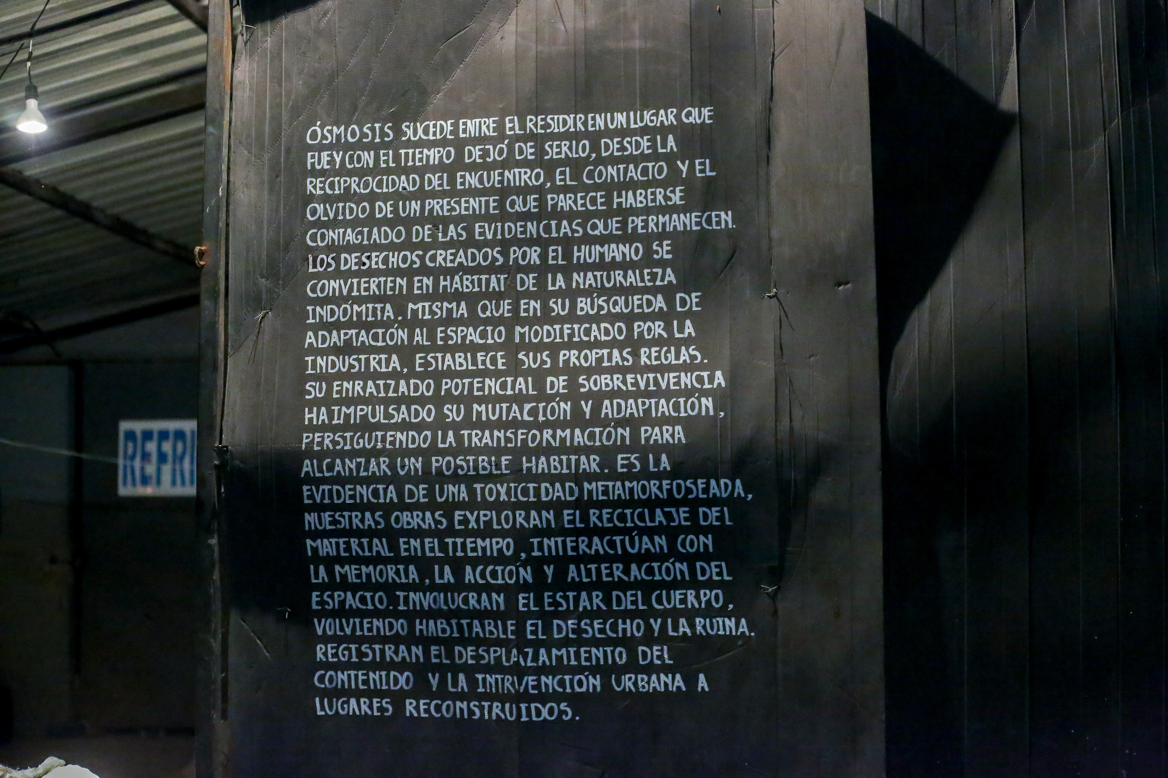 On display: Curatorial rationale. Ósmosis - The Plant (La Planta) - collective site-specific context exhibition.