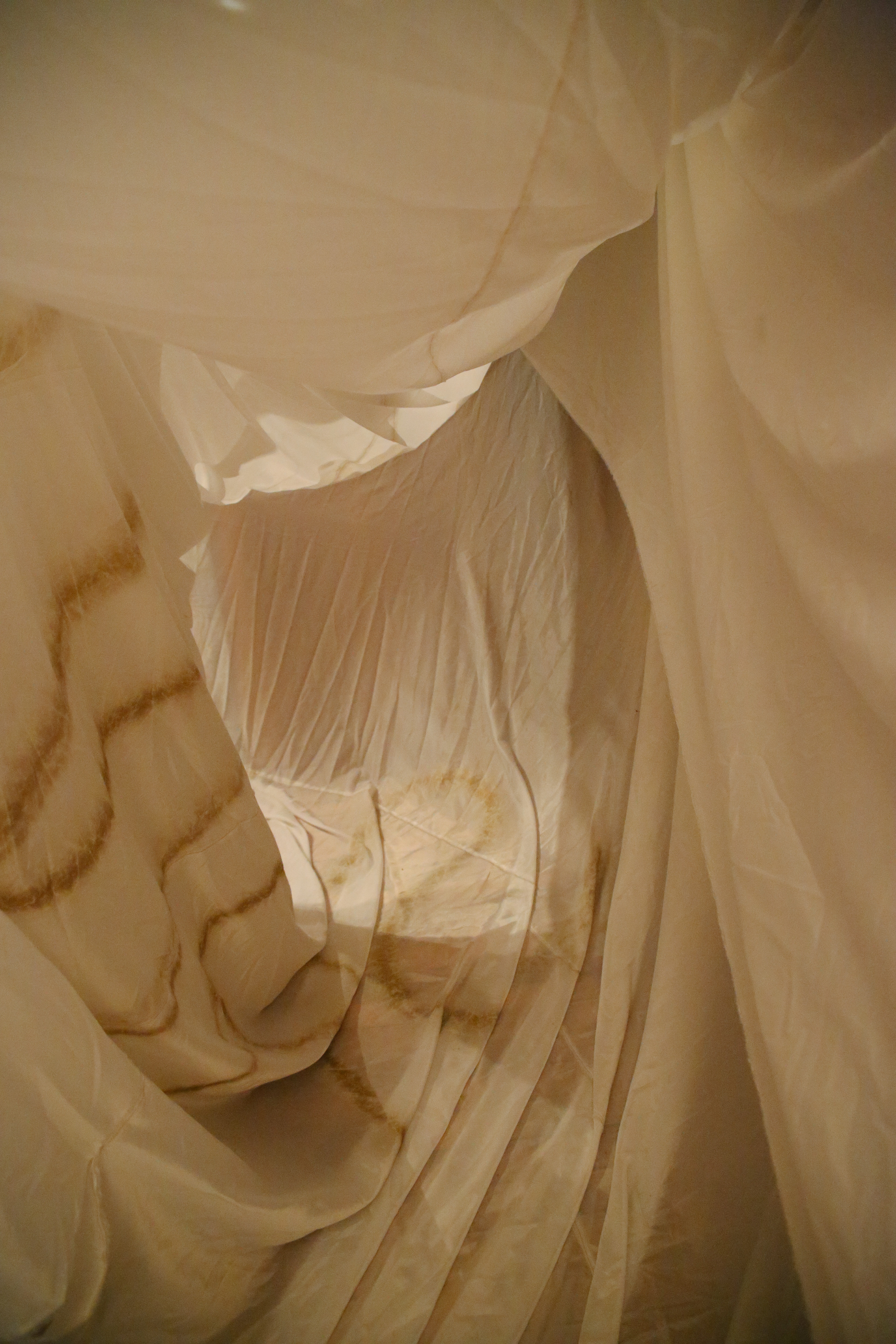 Exhibition overview - PHASE 13 - El Domo (Pestalozzi Foundation) - Photographs of Ana Viteri (Eukarya).