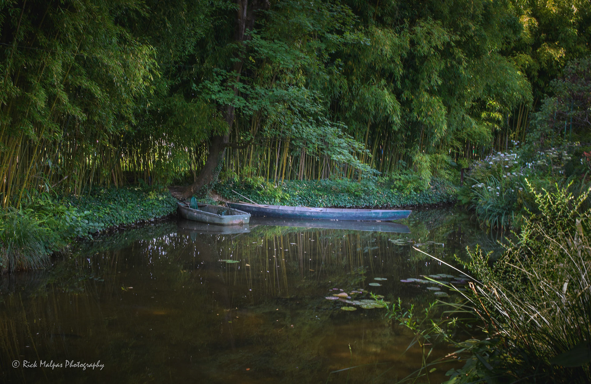 The Lake, Monet's Garden, Giverney, France