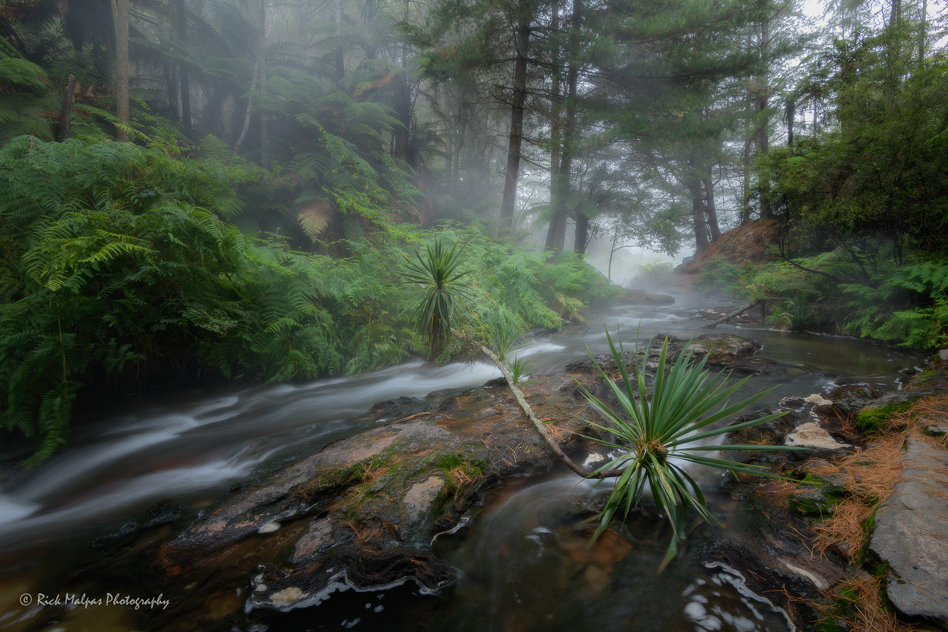 Kerosene Creek, Rotorua, NZ