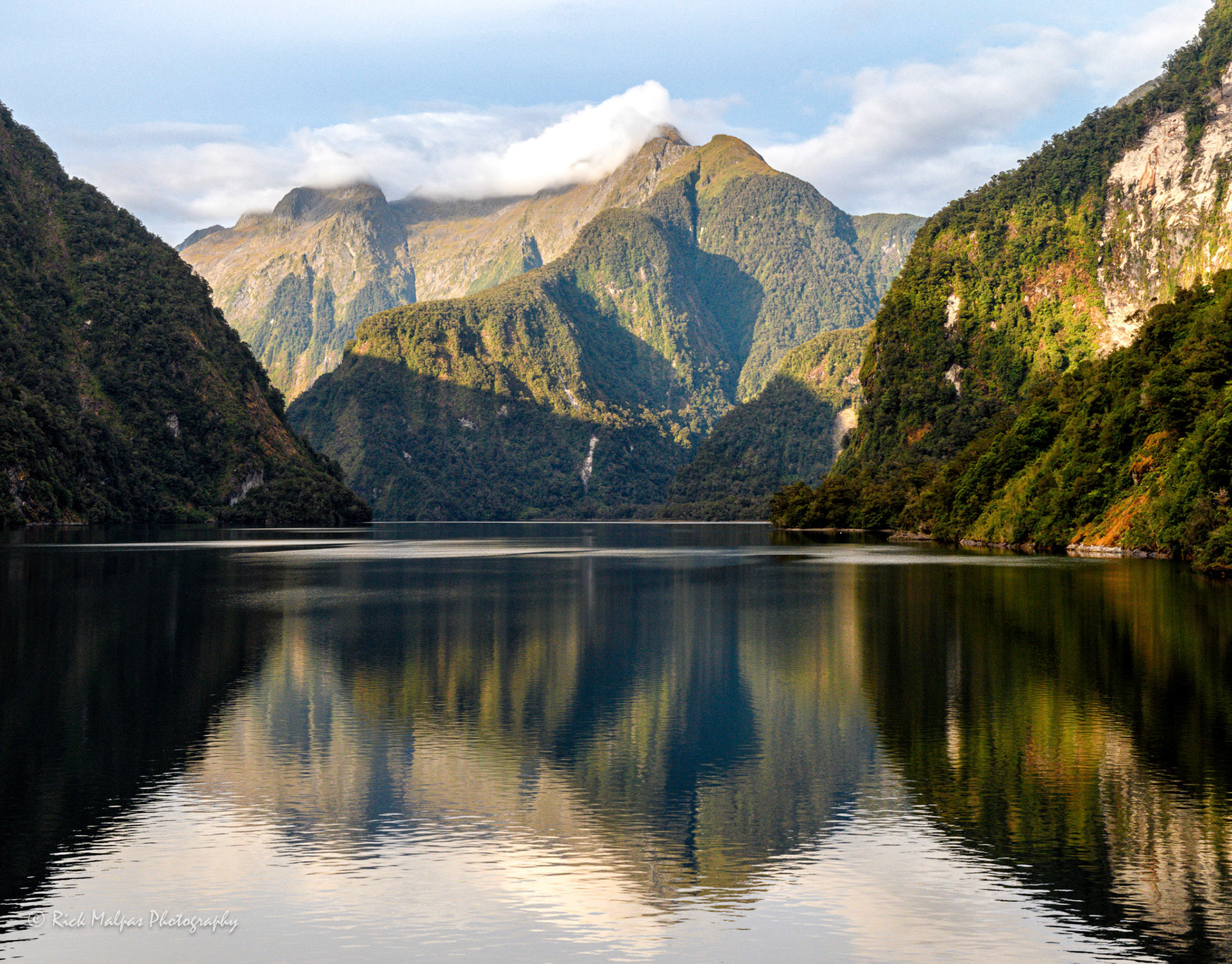 On Doubtful Sound, Fiordland, NZ