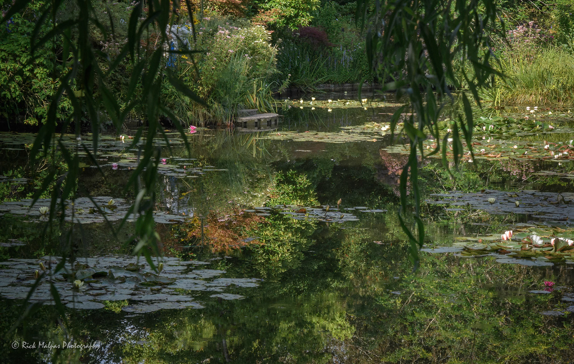 The Lake, Monet's Garden, Giverney, France