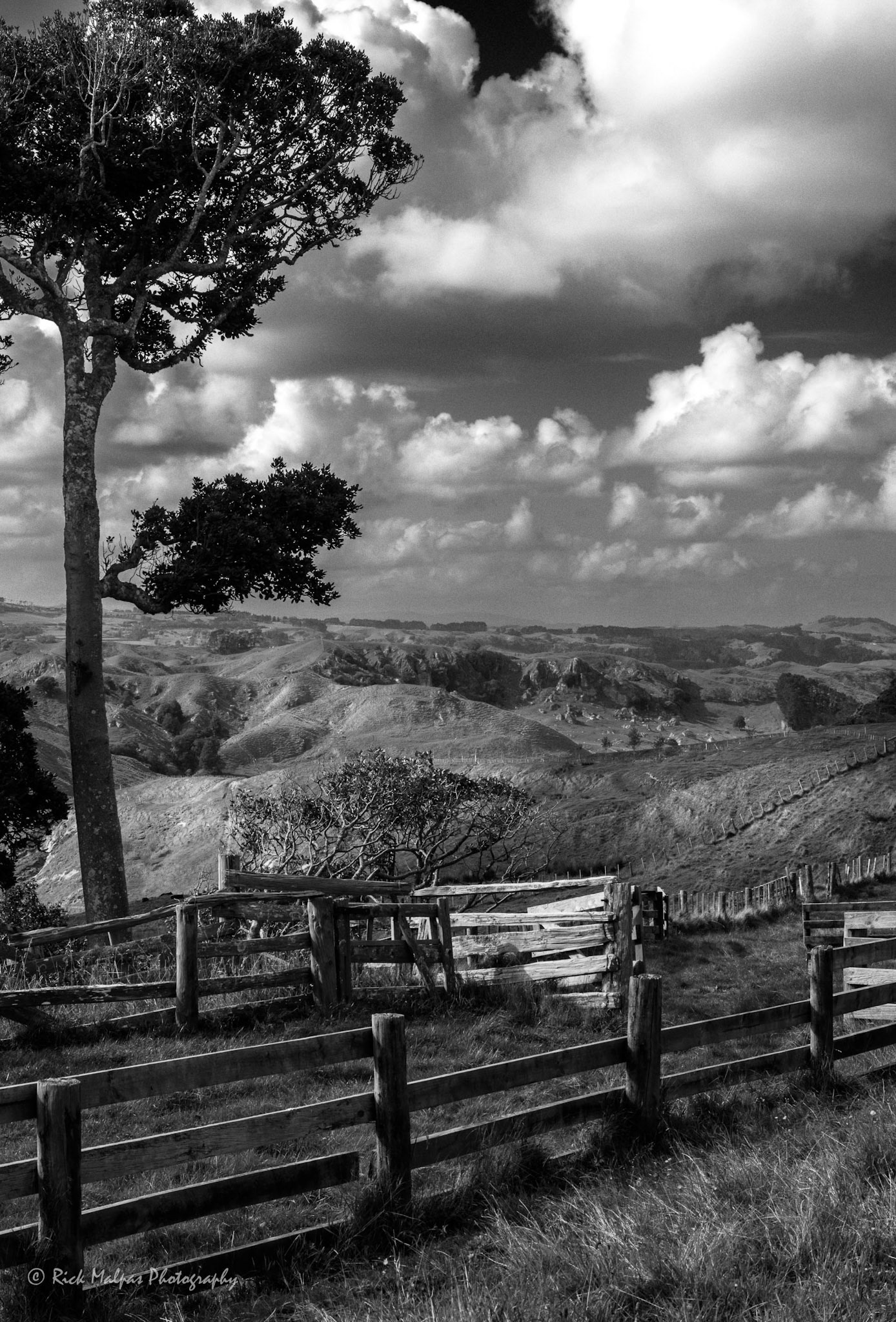 Wairamarama, Waikato, NZ