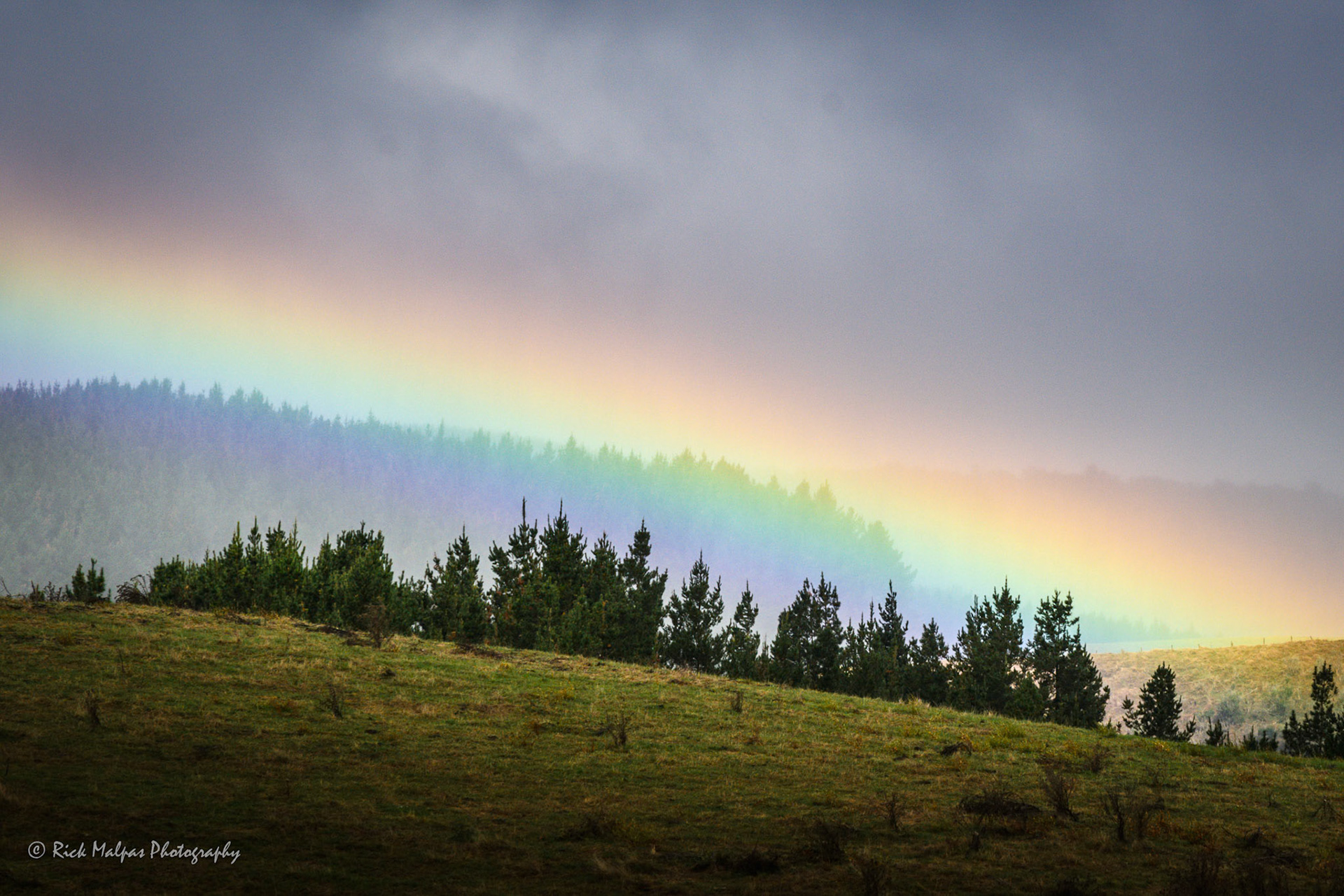 Waitetuna Valley, Waikato, NZ