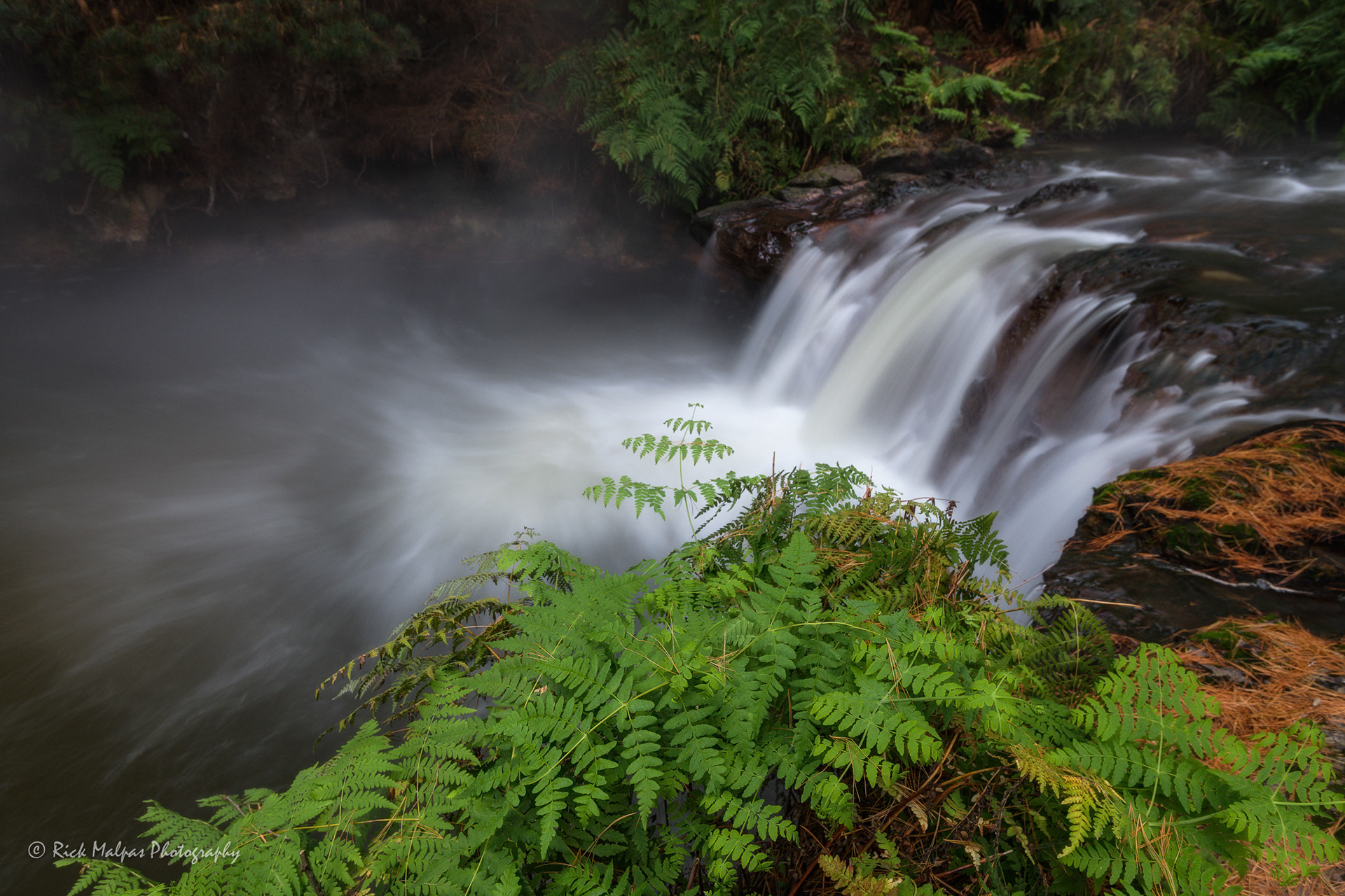 Kerosene Creek, Rotorua, NZ