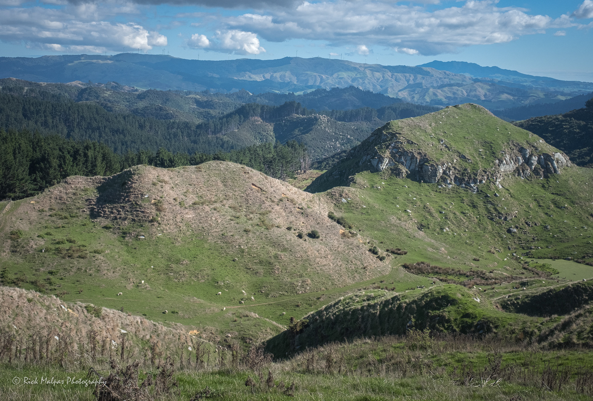 On the Karamu Walkway, Waikato, NZ