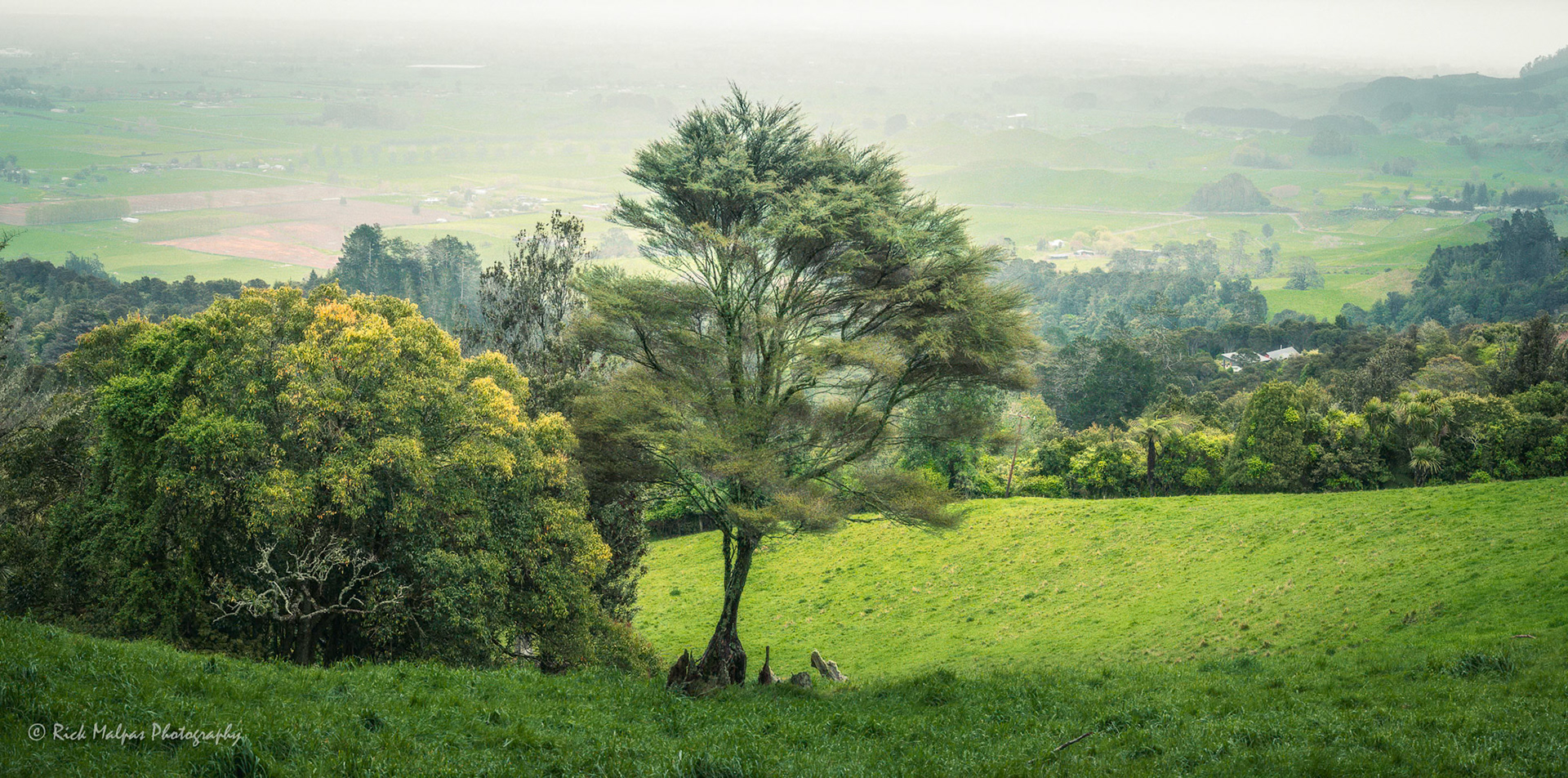 From Sanitorium Hill, Cambridge, NZ