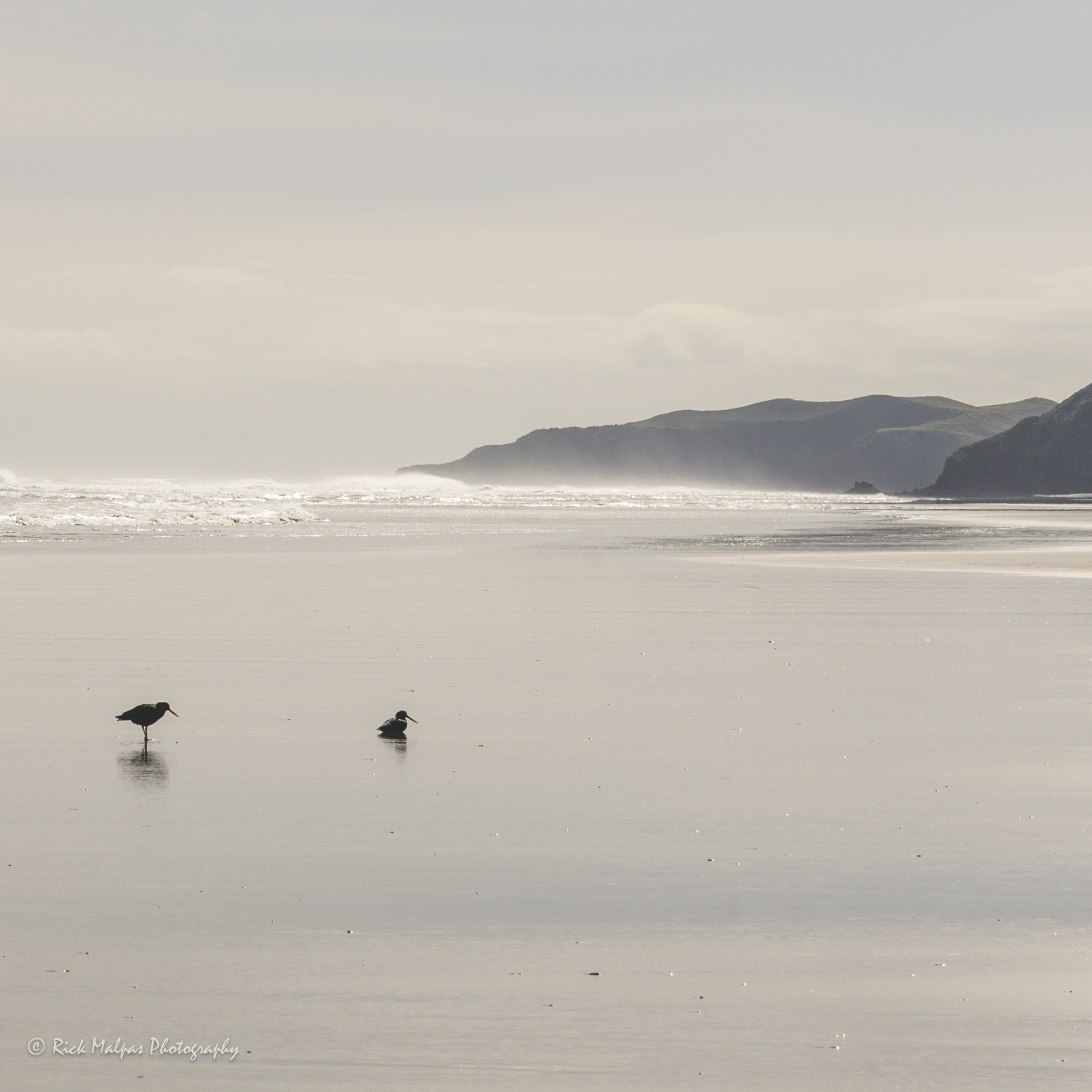 Waiau Beach, Ruapuke NZ