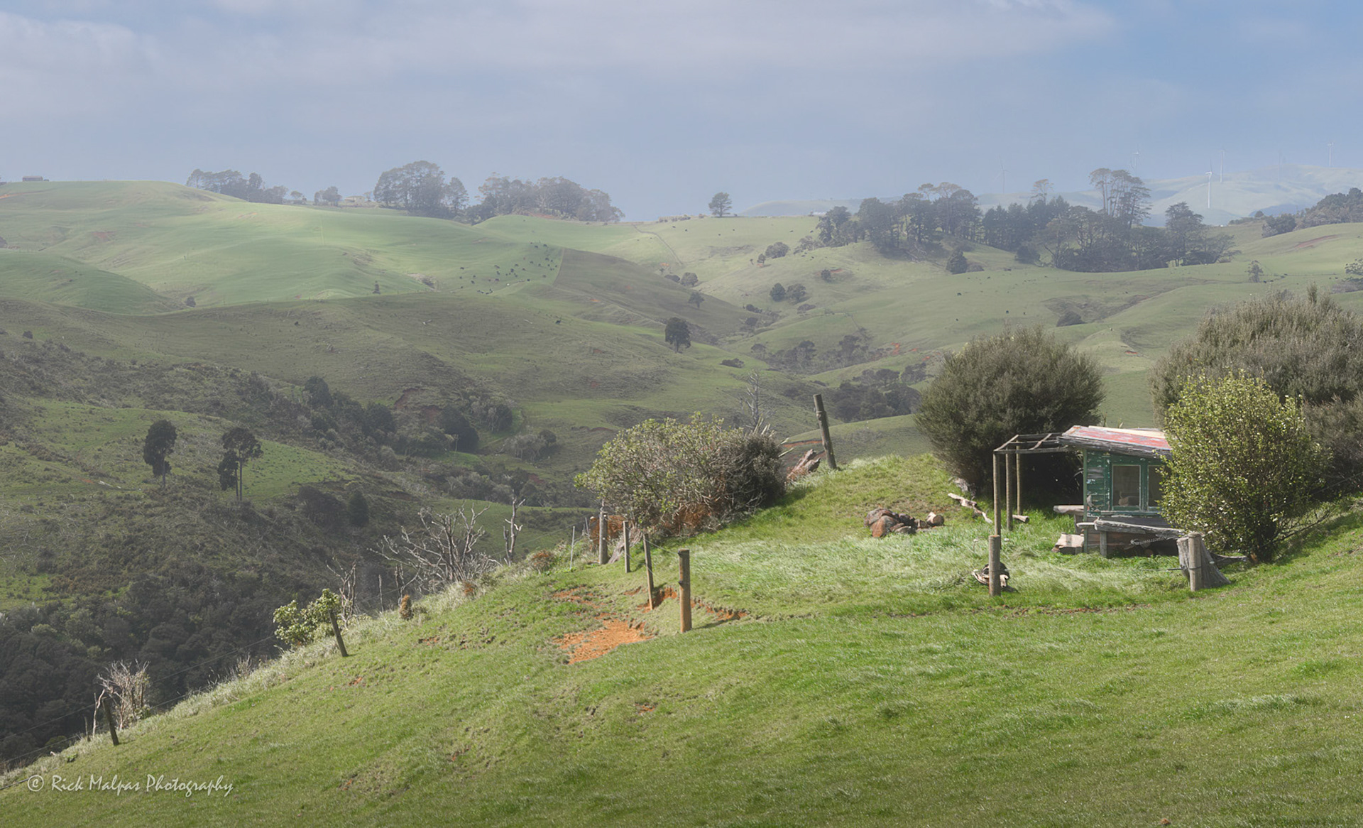 from Benseman Road, Raglan, NZ