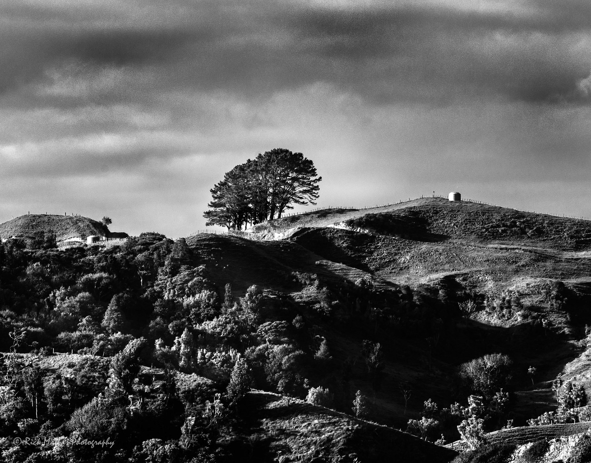 The Trees, Te Akau, Raglan, NZ