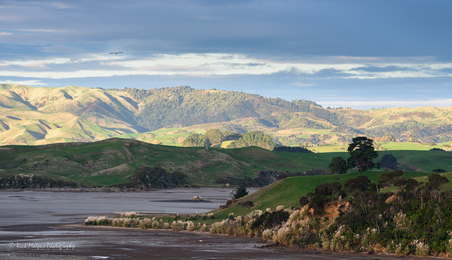 Okete Bay & the Ohautira Hills, Nr Raglan, NZ