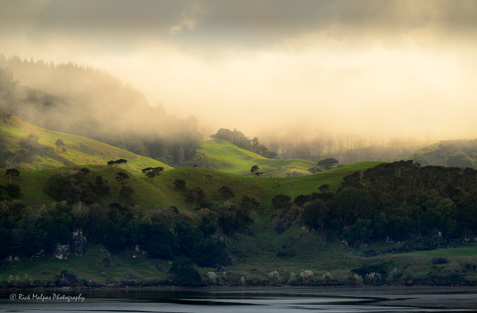 Mist over  the Te Akau hills, Raglan NZ