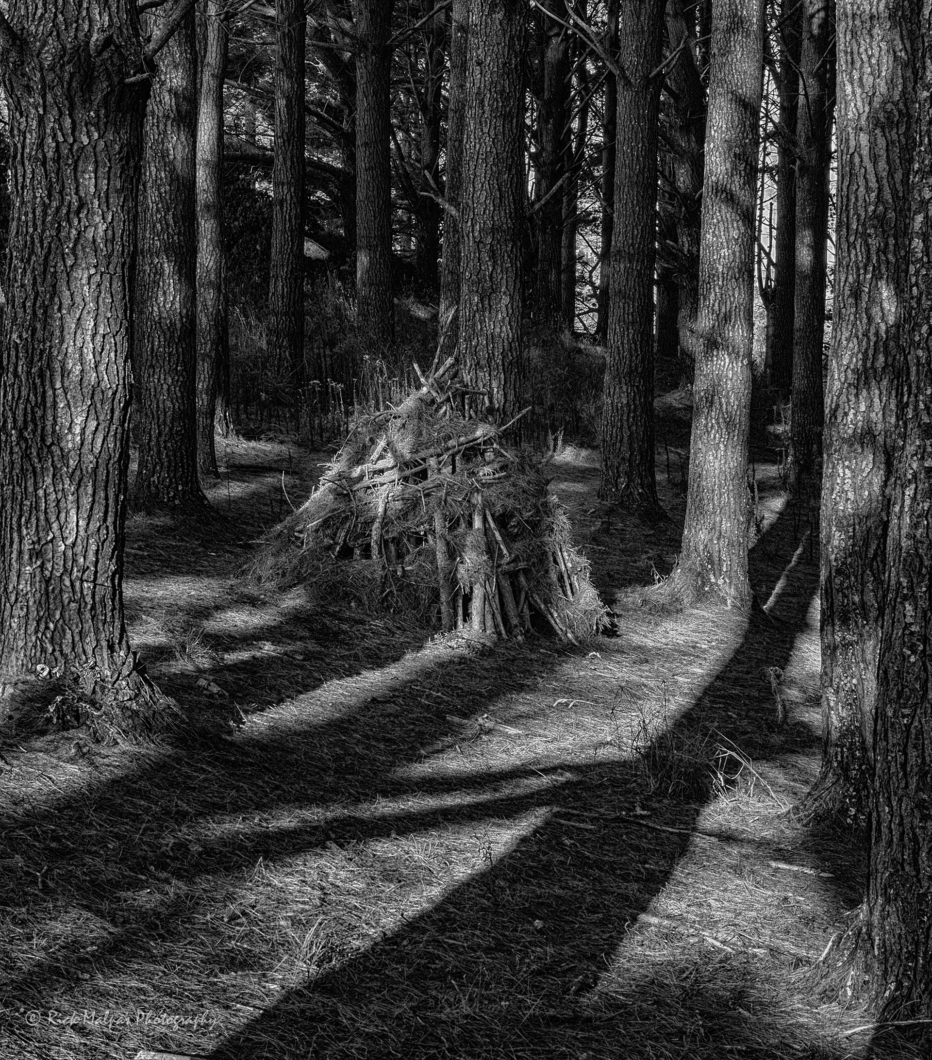 A Den, The Pine Forest, Wainamu Beach, Raglan, NZ