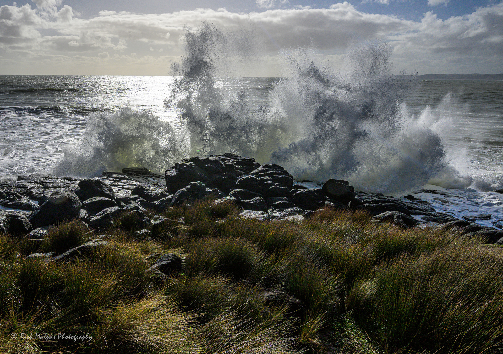 Whale Bay, Raglan NZ