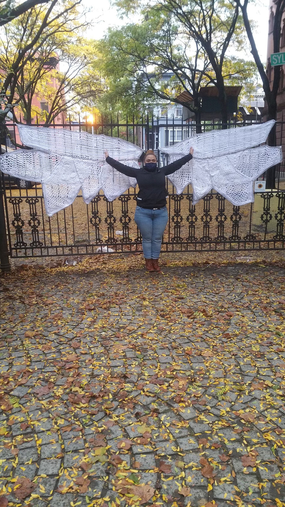 W H I T E   W I N G S