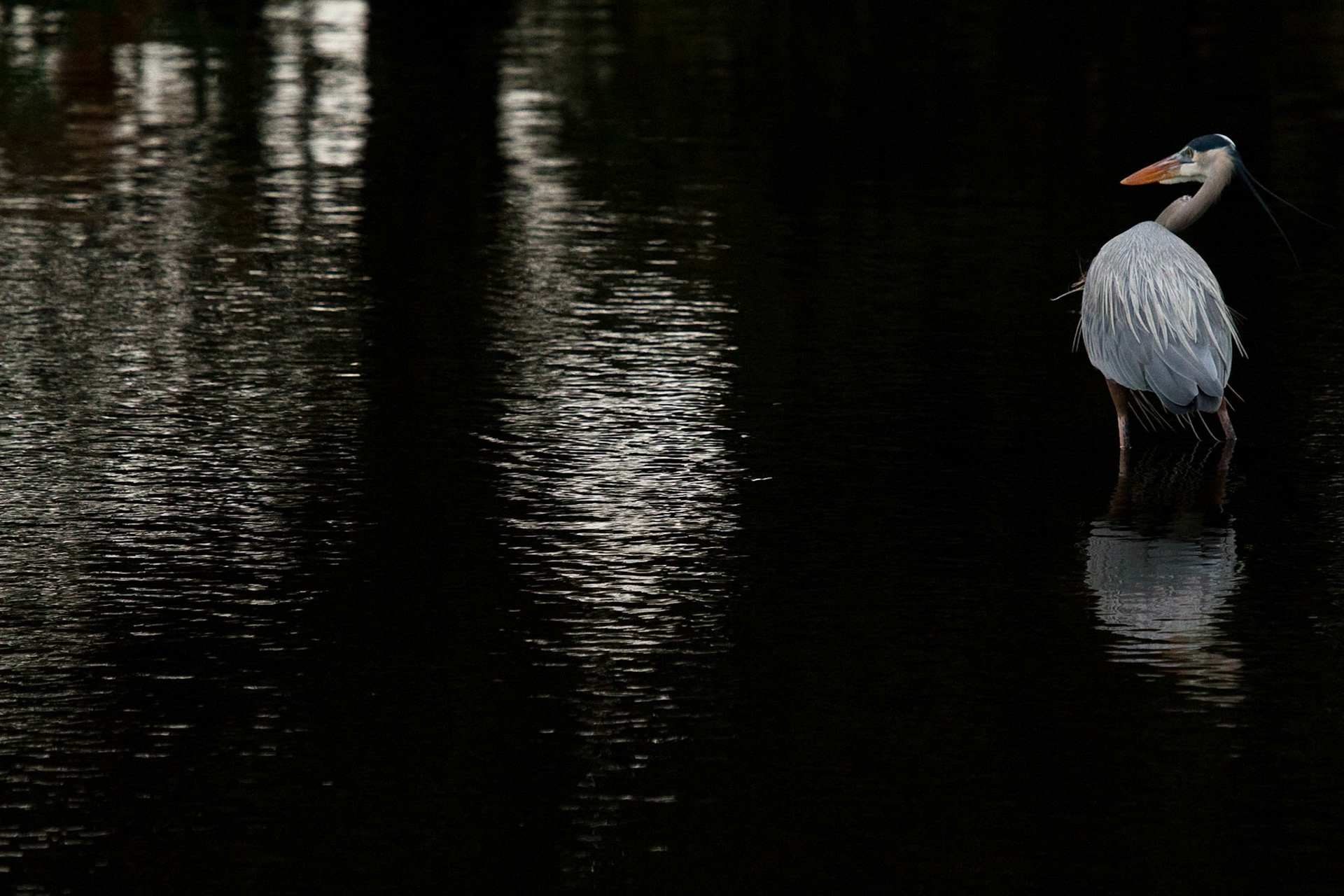 Everglades National Park, Florida