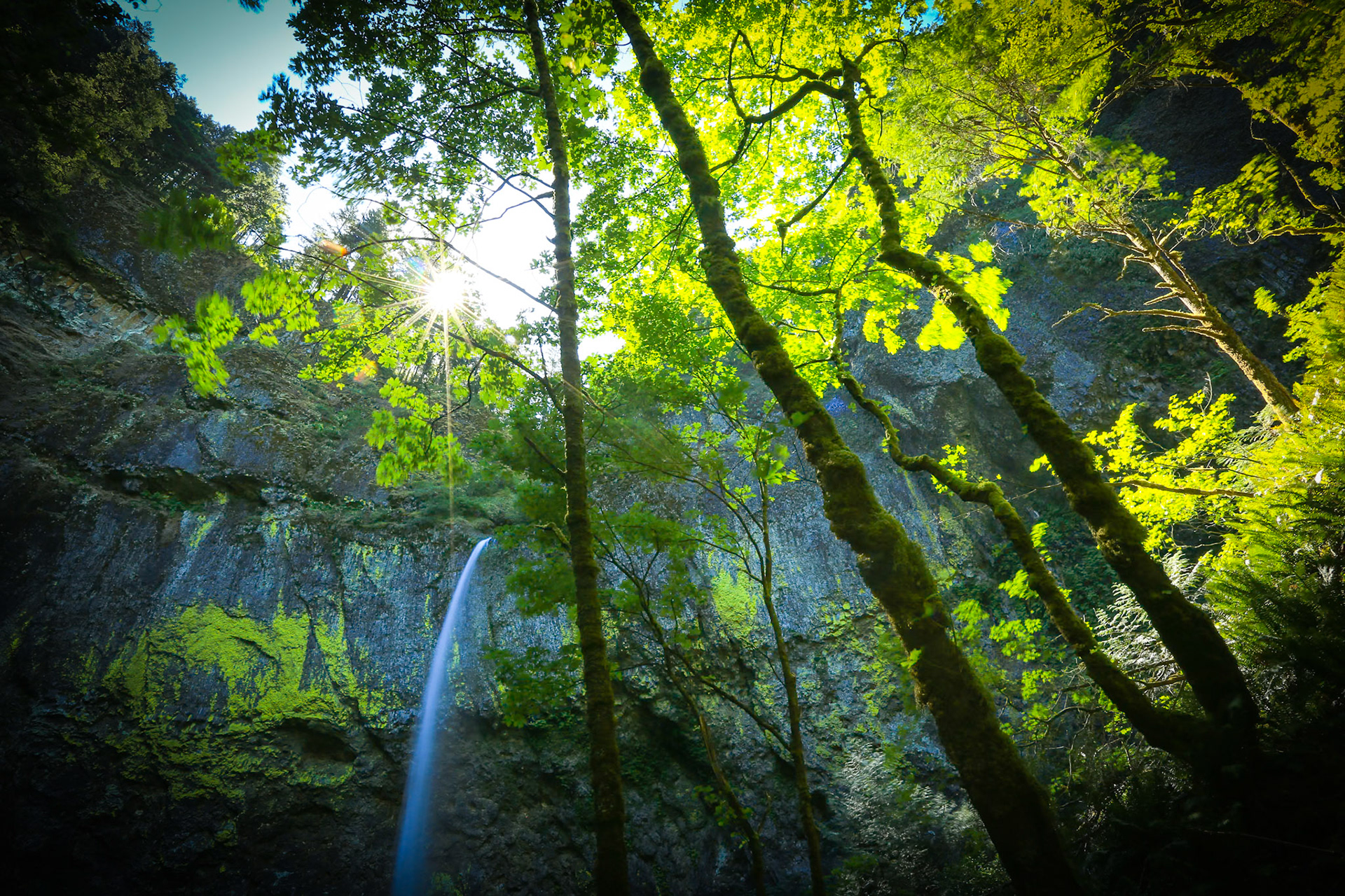 Elowah Falls and sunburst in the Columbia River Gorge of Oregon