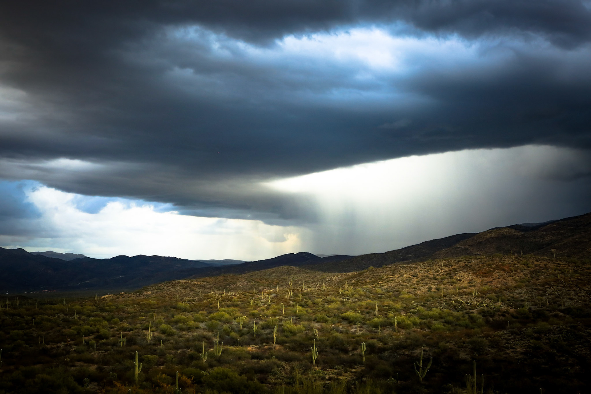 Clouds open up above Saguaro National Park and drop rain above cactus