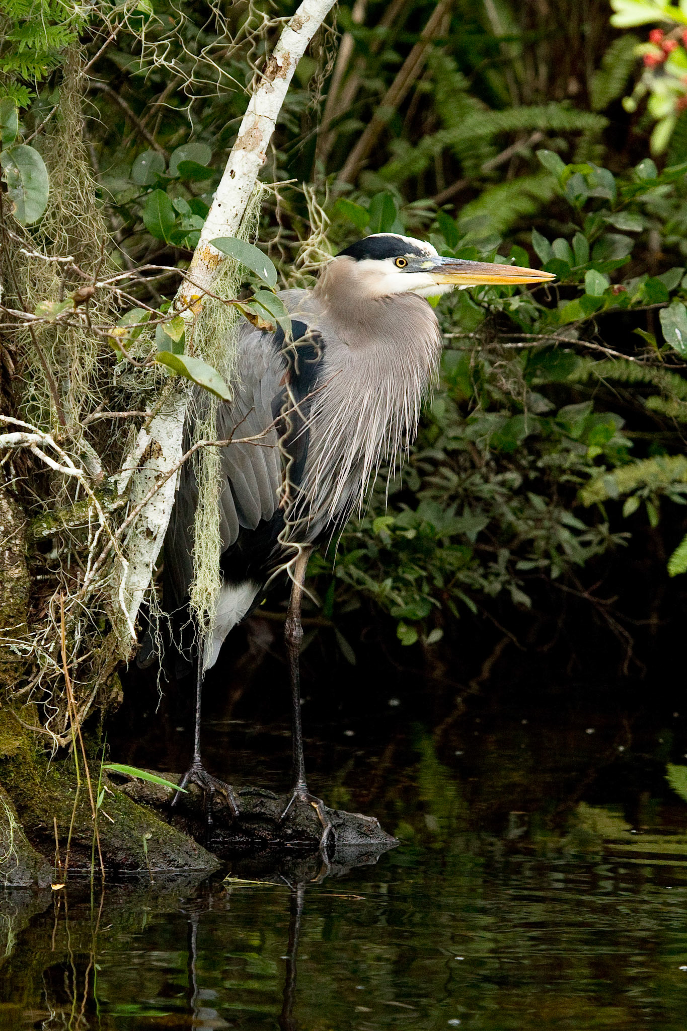 Everglades National Park, FL
