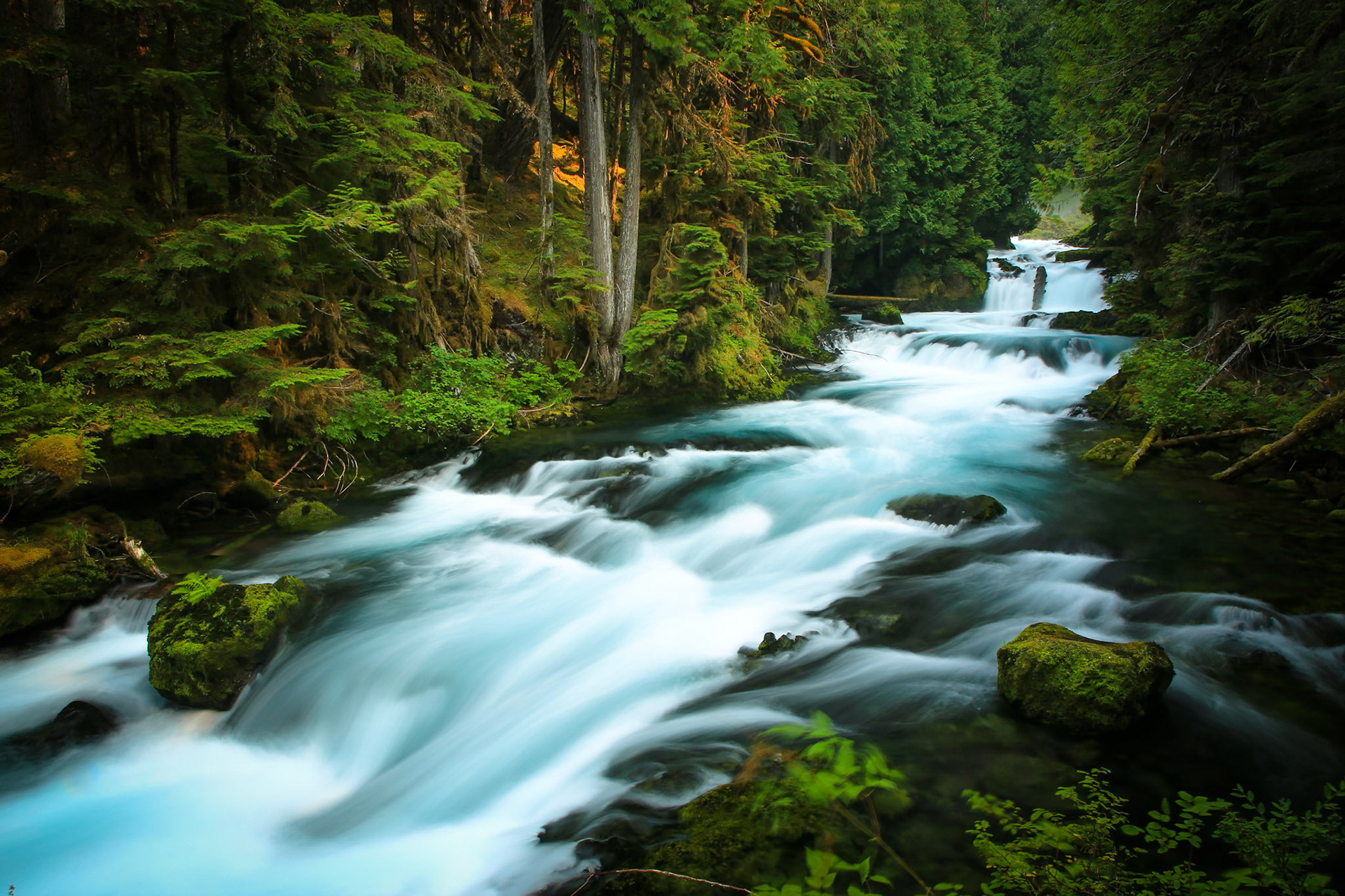 Oregon