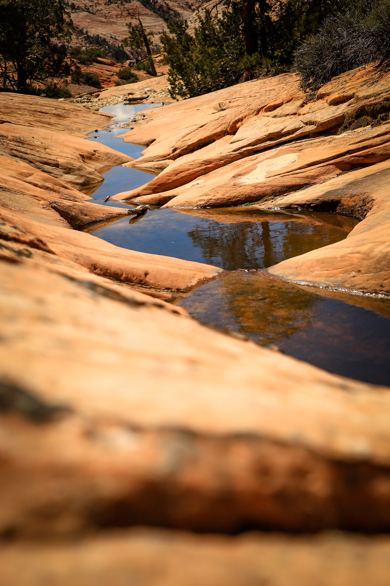 Zion National Park, Utah