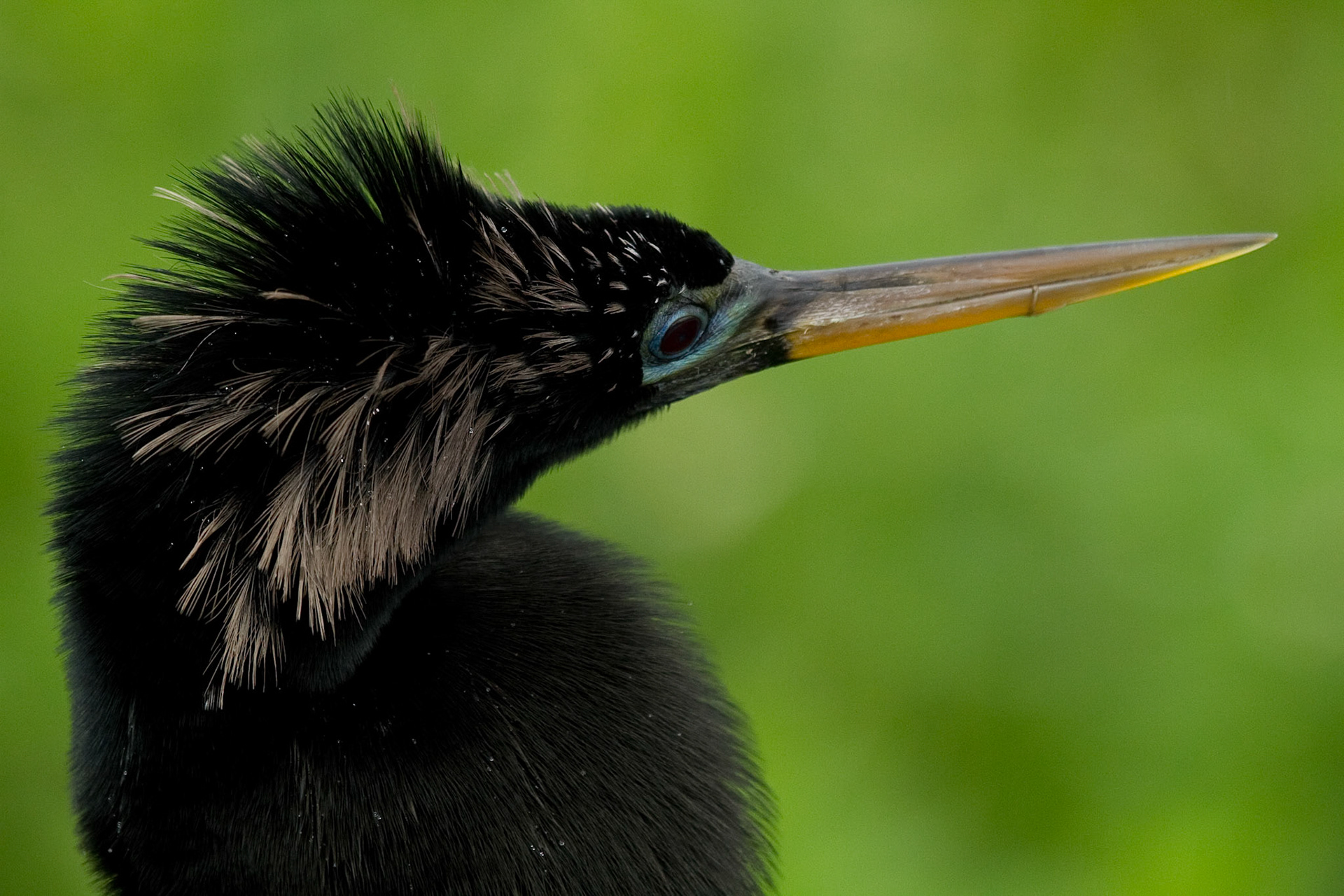 Everglades National Park, FL