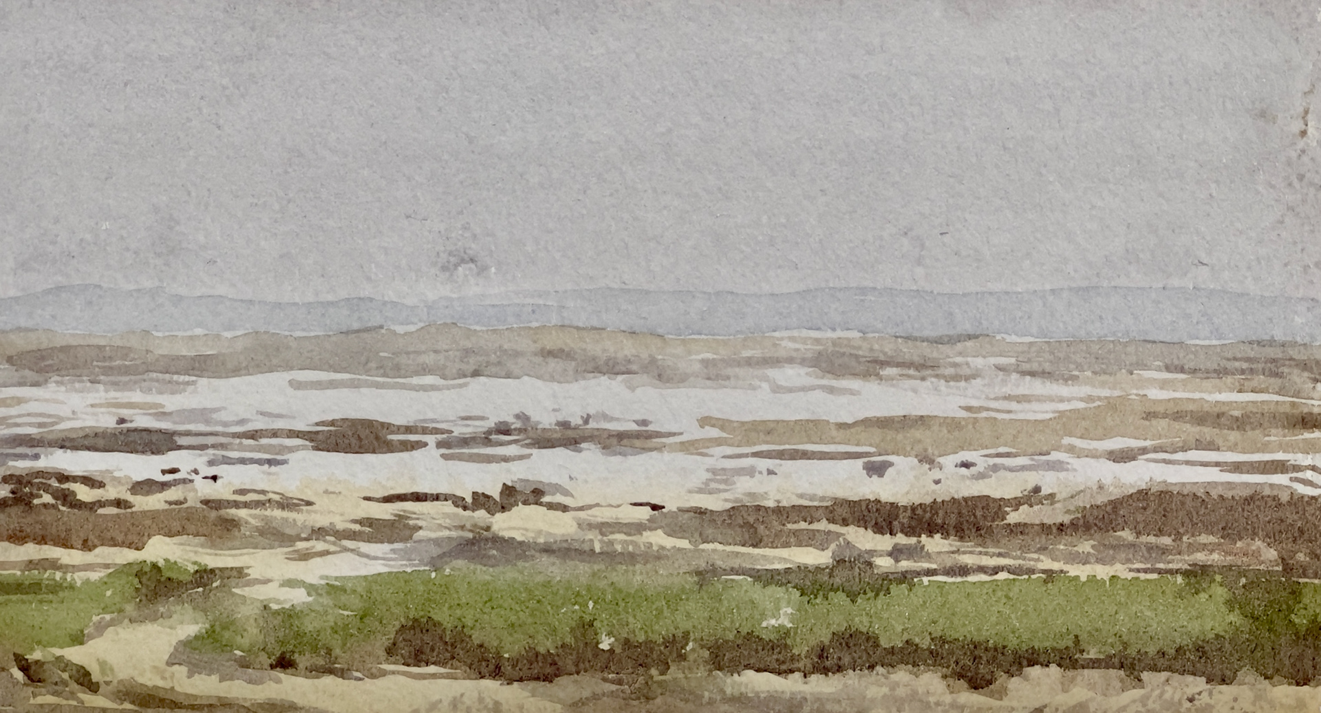 “Wetlands”, Watercolor on Paper, 8" x 4 1/2"