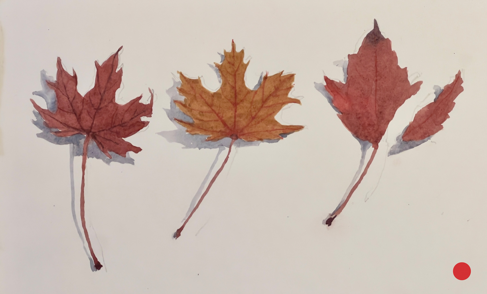 *Sold* “Maggie’s Collected Leaves, Autumn”, Watercolor on Paper, 10 1/8" x 5 7/8"