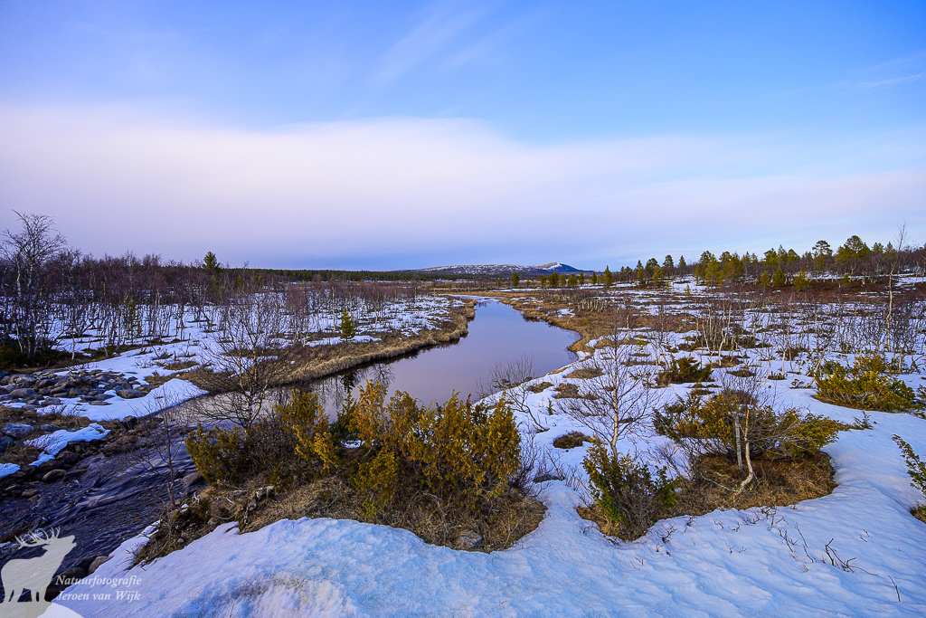 Ontdooiend landschap in Jämtlands län