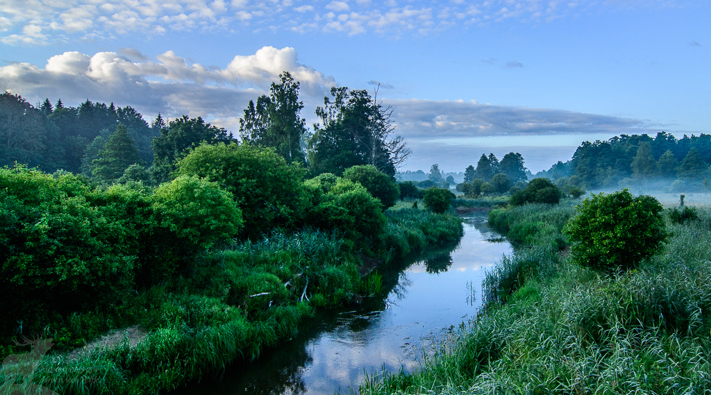 De Narewka rivier in de vroege ochtend, de belangrijkste waterloop voor het Poolse deel van Białowieża