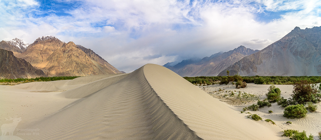Hunder Sand Dunes in Nubra Valley. Hunder, June 2019.