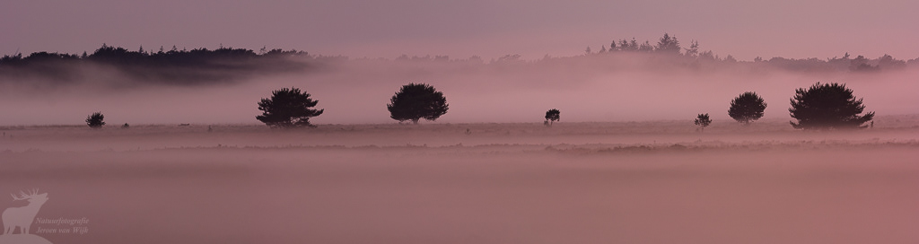 Mistige zonsondergang