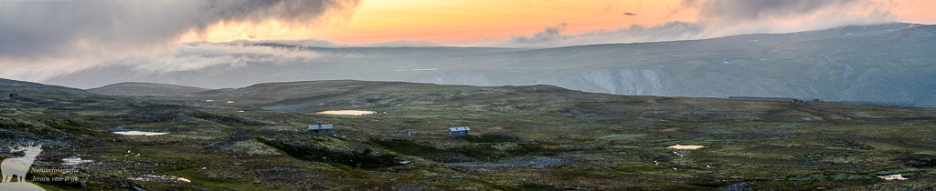 Noorse hoogvlakte, Oppdal, 2021.