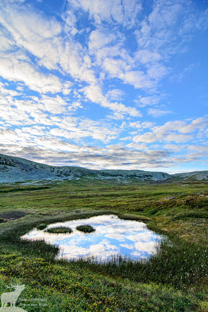 Weerspiegelende wolkenlucht in een ven op de Nipfjället, Zweden, 2013.