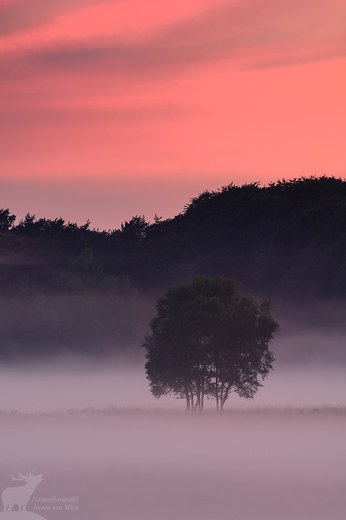 Mistige zonsondergang