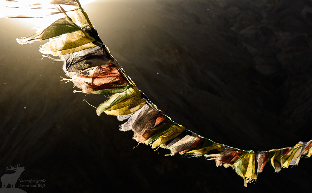 Tibetaanse gebedsvlaggen. Wanla, mei 2019.