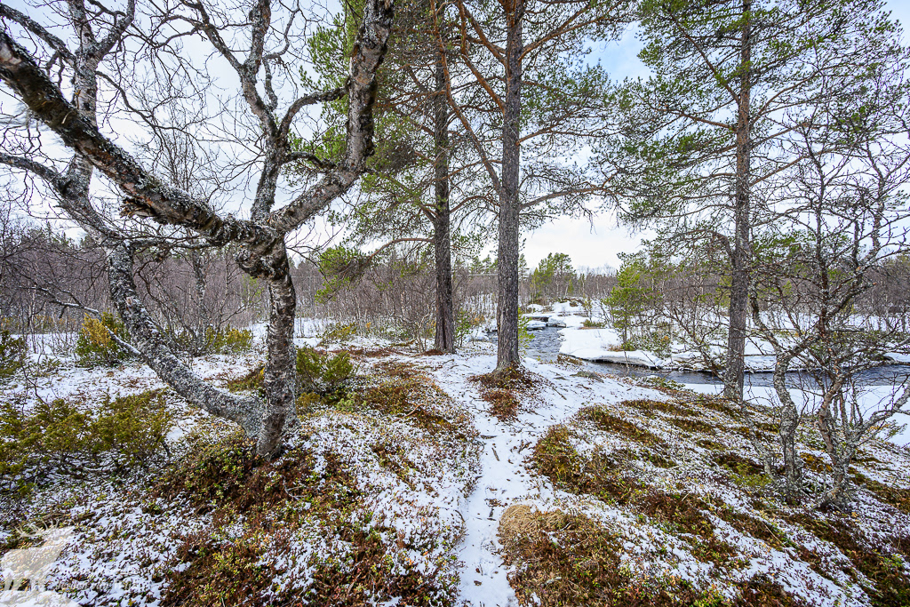 Besneeuwd landschap, Messlingen