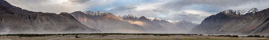 Nubra Valley. Hunder, juni 2019.