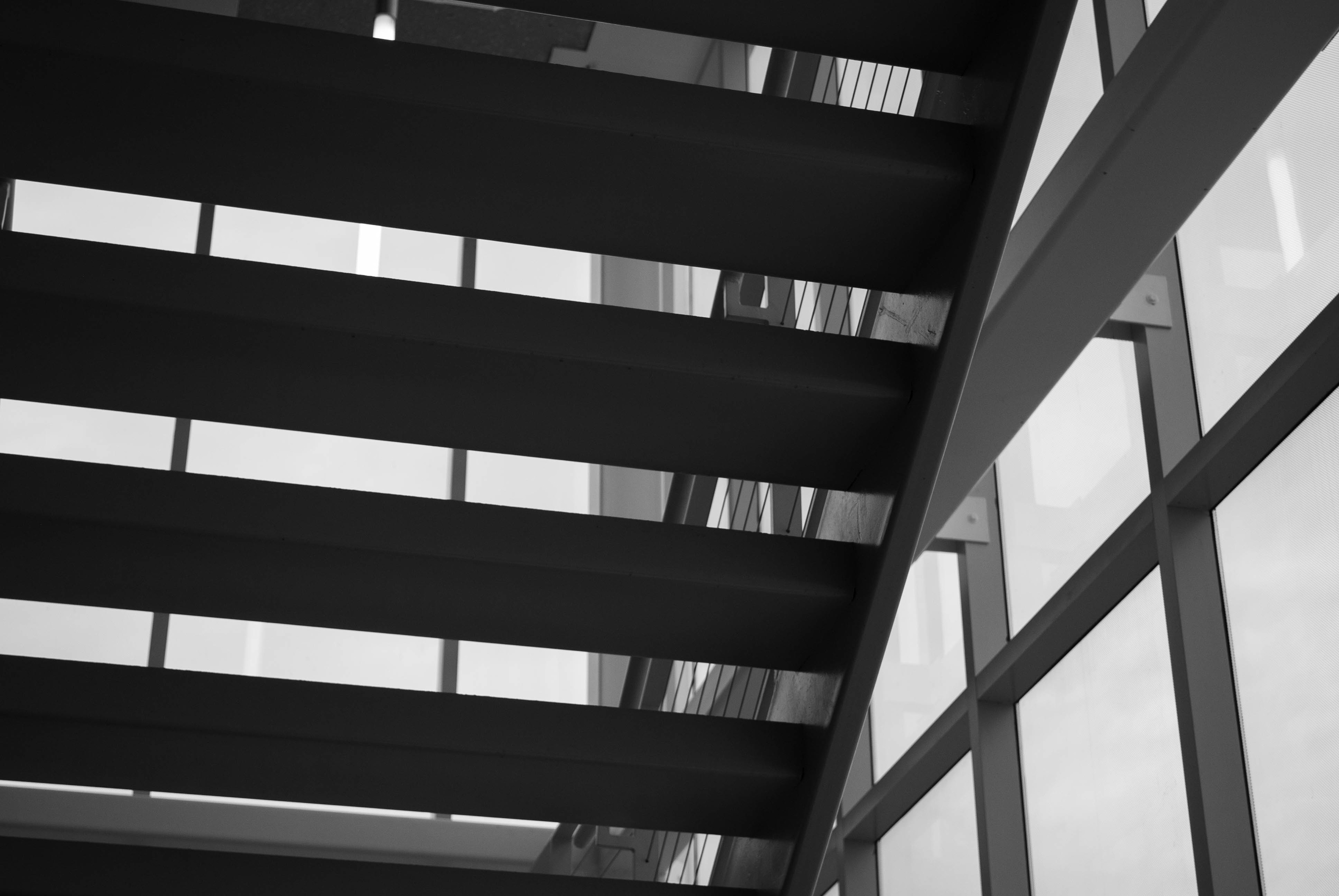 Black & White Collection